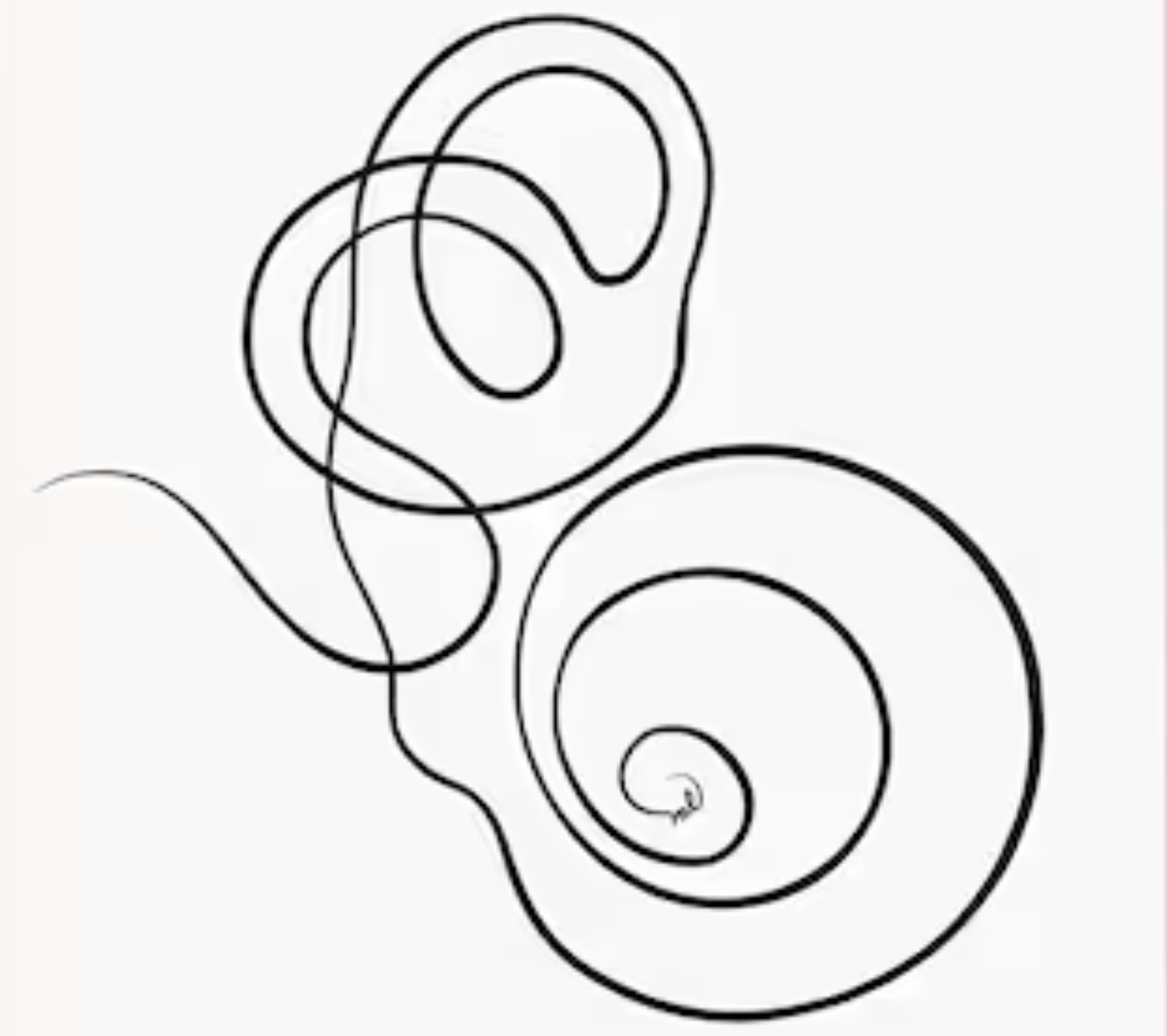 Advanced otology and skull base surgery